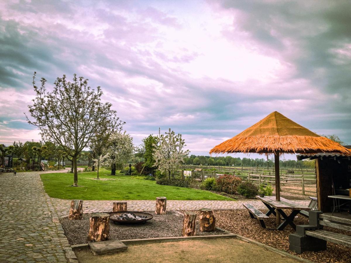 De Worfthoeve Bed and Breakfast Geel Eksteriør billede